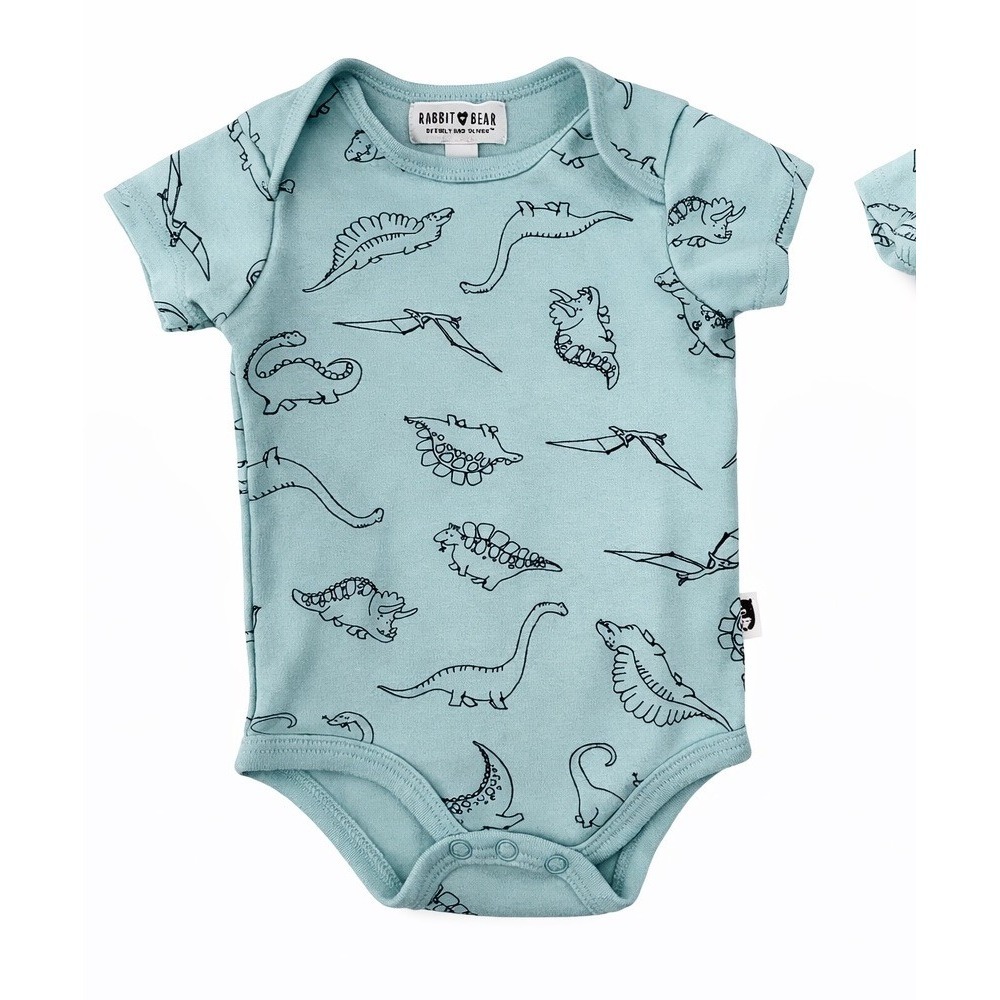 Rabbit & Bear 100% Organic Cotton Bodysuit One Piece Infant 3-6 Months Dinosaur